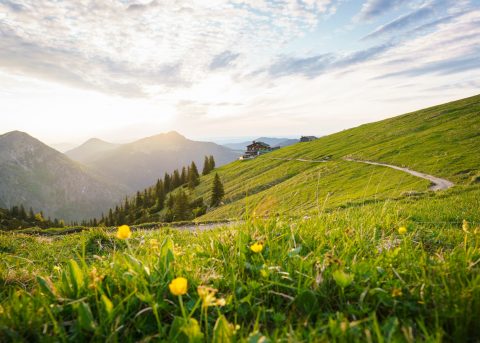 Frühlingswiese am Tegernsee Relais Chalet Wilhelmy