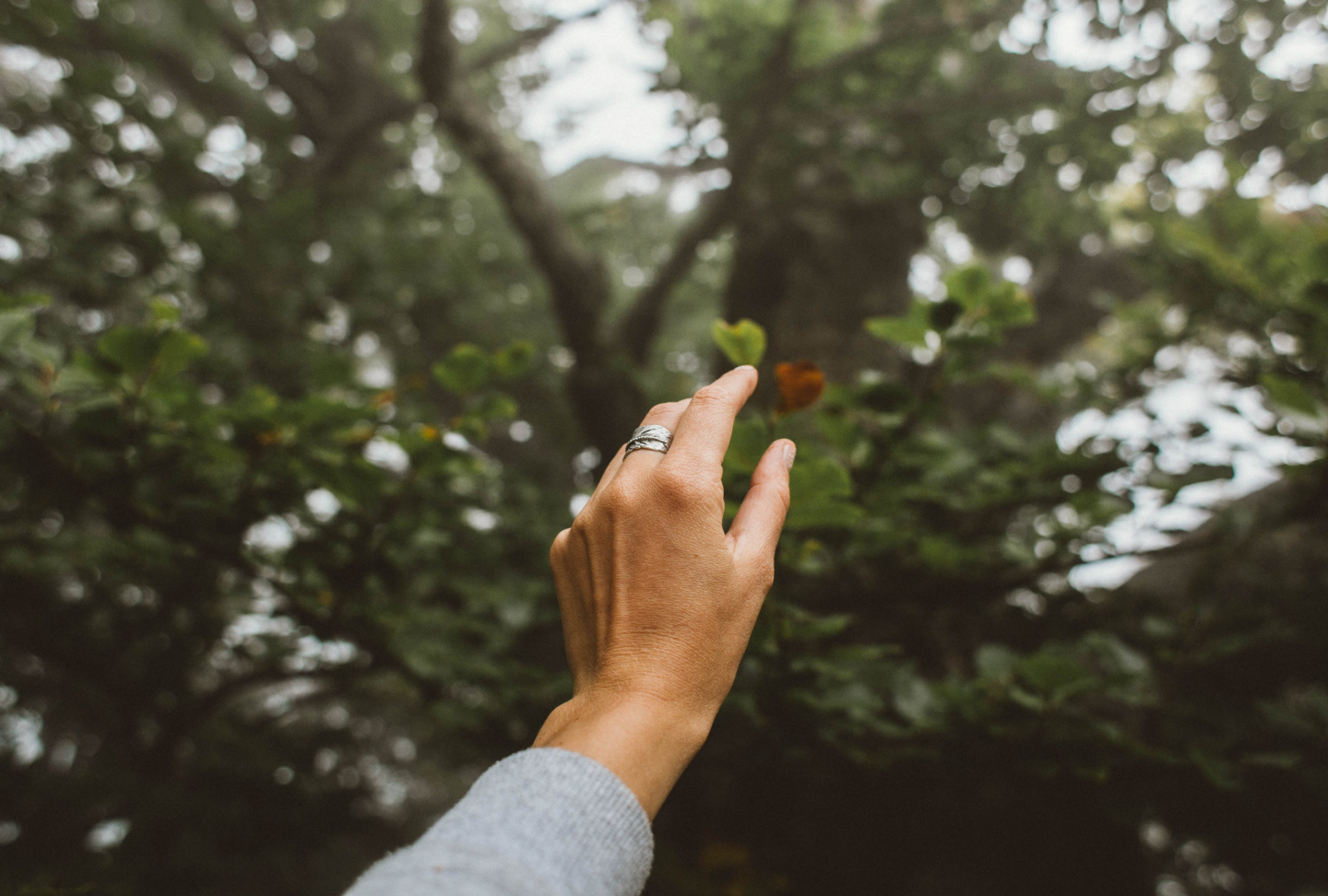 Erhobene Hand vor grünem Wald – Symbol für Achtsamkeit und Naturverbundenheit beim Waldbaden rund um das Relais Chalet Wilhelmy am Tegernsee.