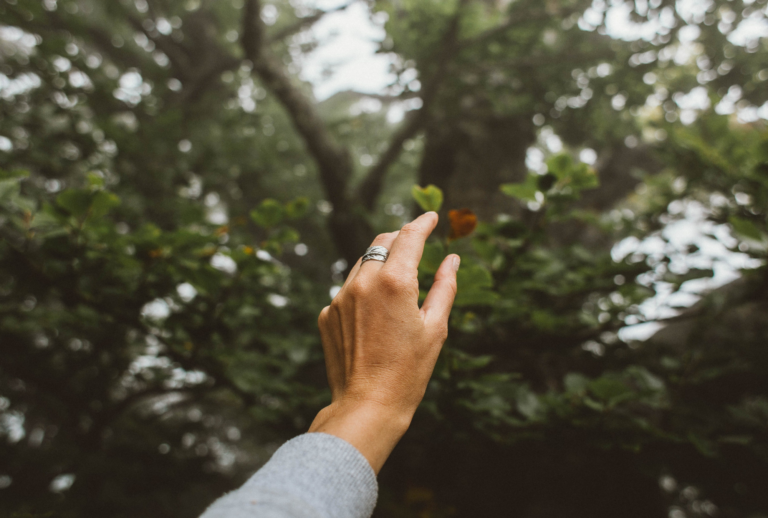 Erhobene Hand vor grünem Wald – Symbol für Achtsamkeit und Naturverbundenheit beim Waldbaden rund um das Relais Chalet Wilhelmy am Tegernsee.